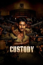 Custody (2023) Free Watch Online & Download