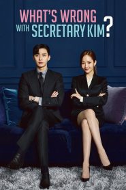 What’s Wrong with Secretary Kim (2018) Free Watch Online & Download